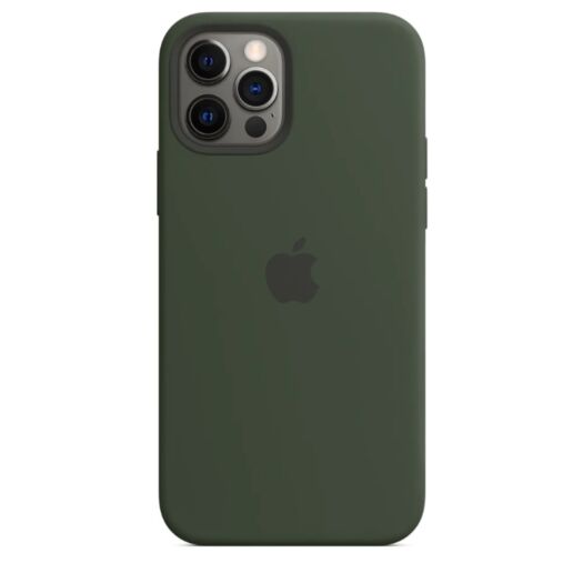 Чехол Silicone Case with MagSafe & SplashScreen iPhone 12 Pro Max Cyprus Green 15551